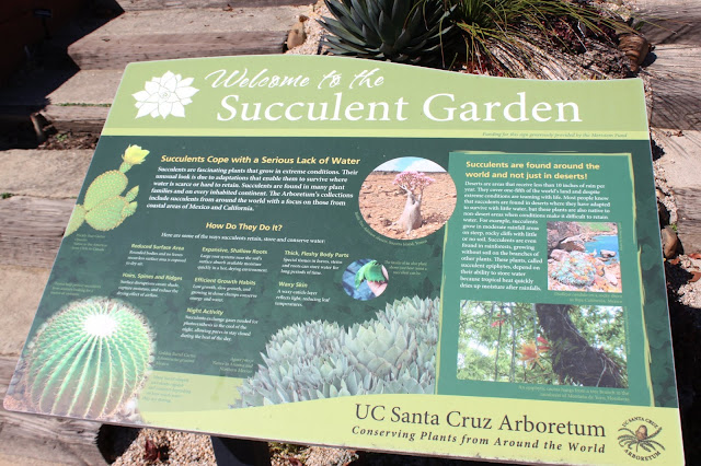UCSC Arboretum signage UCSC Arboretum signage