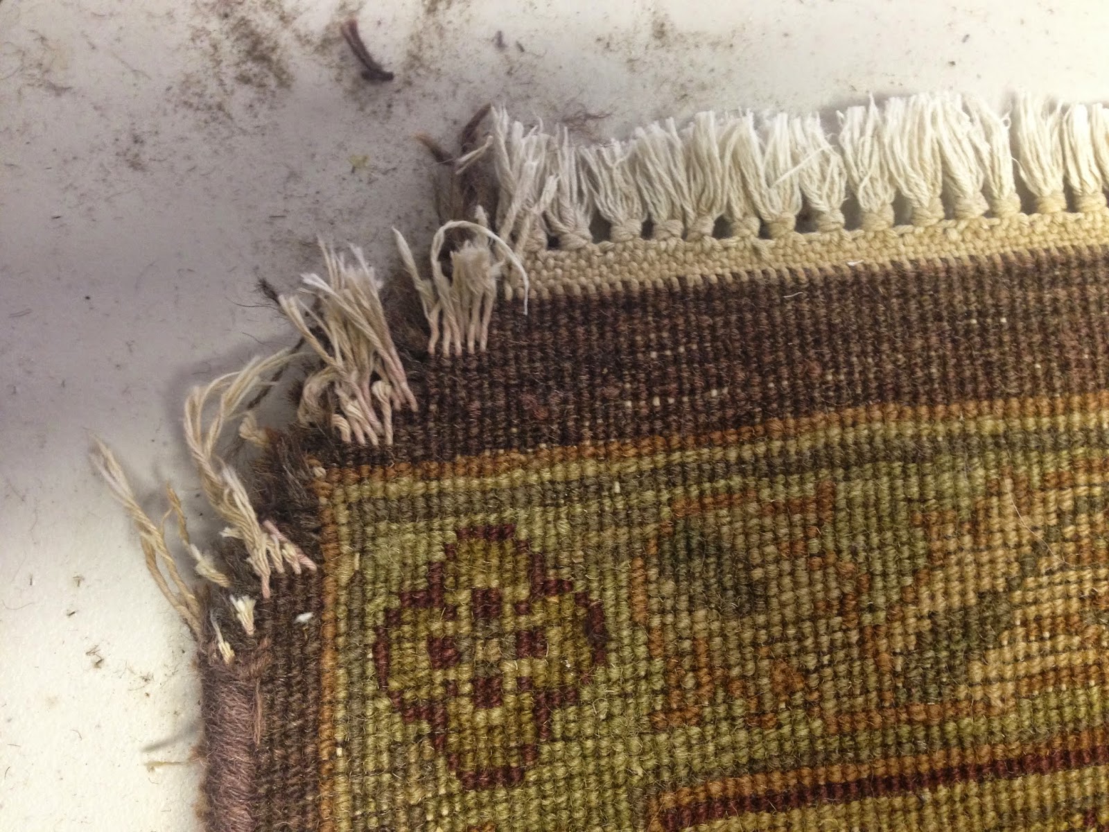Rug Repair When A Rug is Chewed by a Dog