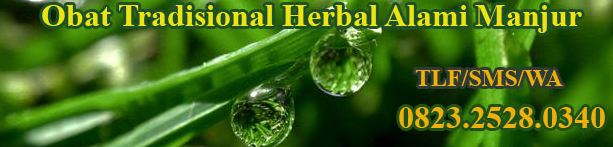 Obat Herbal Manjur Ampuh Alami