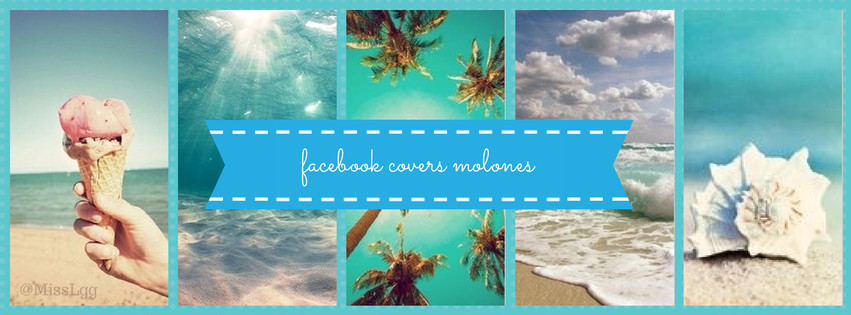 facebook cover molones summer verano blue