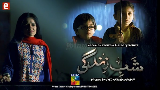  Shab -E- Zindagi Episode 22 - 24 June 2014 On Hum Tv 