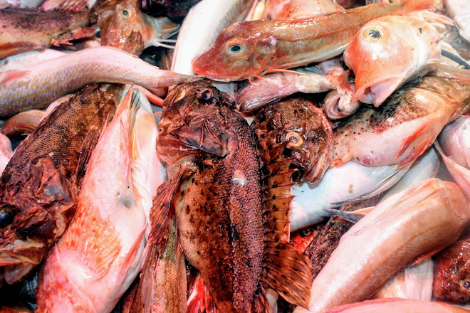 Soupe de poissons à la sétoise — Wikipédia