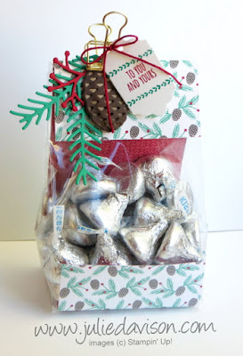 Stampin' Up! Christmas Pines Gussetted Cello Treat Bag with Presents & Pinecones Designer Paper www.juliedavison.com
