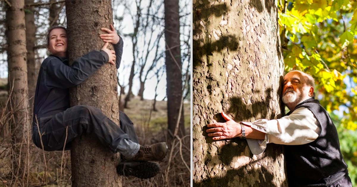 People In Iceland Hug Trees To Improve Their Mental Health People In Iceland Hug Trees To Improve Their Mental Health