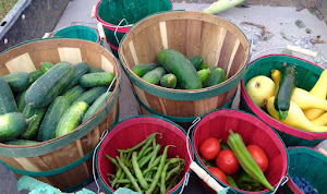 Our harvest