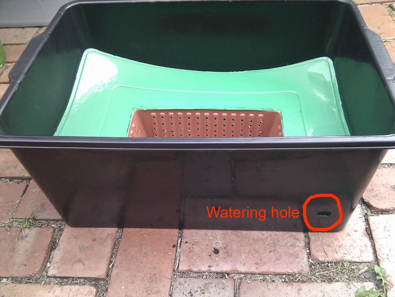 BK's Babylon Build your own selfwatering containers