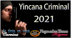 Yincana Criminal