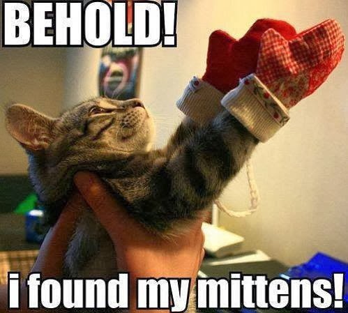 http://3.bp.blogspot.com/-kaLxwF3KH44/UqOkI4zTo4I/AAAAAAAAHGM/8mSThOfjDNs/s1600/kitten-found-mittens.jpg