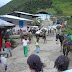 Poblado de Santa Lucia : Ituango