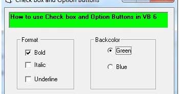 How to use Check box and Option Buttons in VB 6 | Mastering Microsoft ...