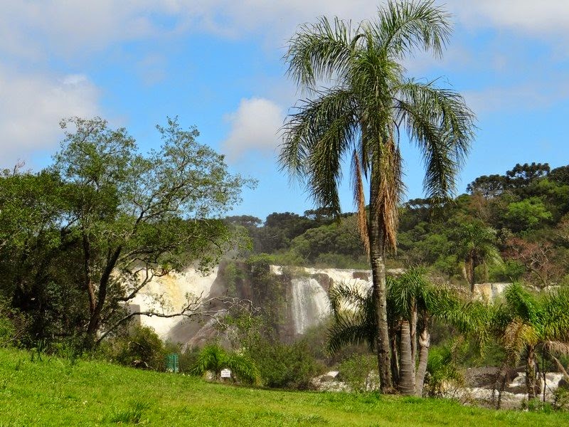 PARQUE DAS QUEDAS ABELARDO LUZ SANTA CATARINA BRASIL PARQUE DAS QUEDAS ABELARDO LUZ SANTA CATARINA BRASIL