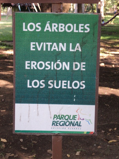 El Corazón Verde : Cuida los Árboles