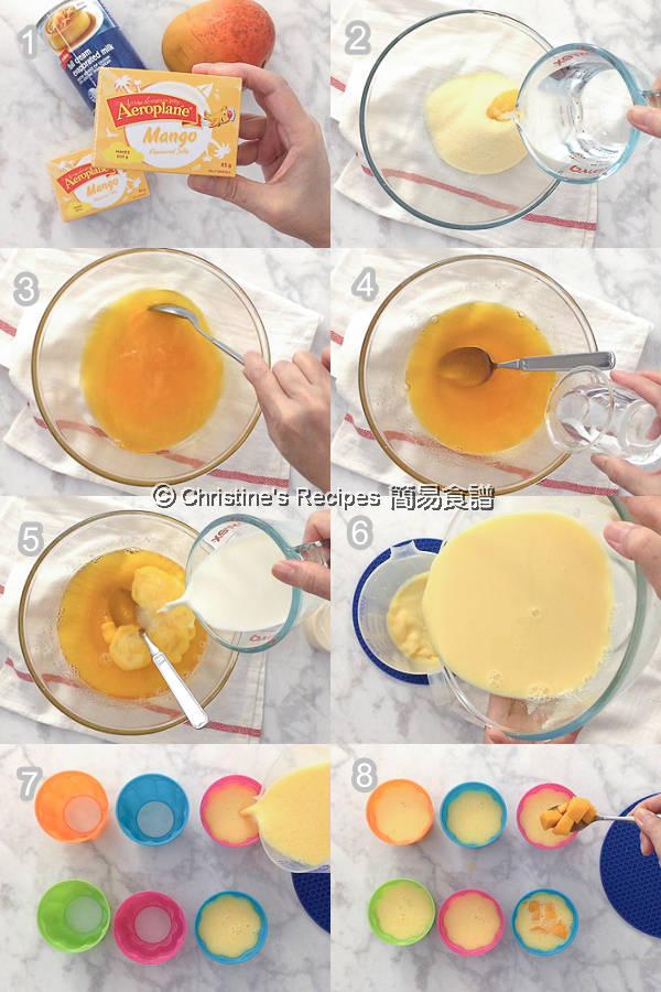 Mango Pudding Procedures