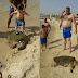 Sea Turtle Who Was Stepped on and Beaten for Selfies in Lebanon Is Now Recovering