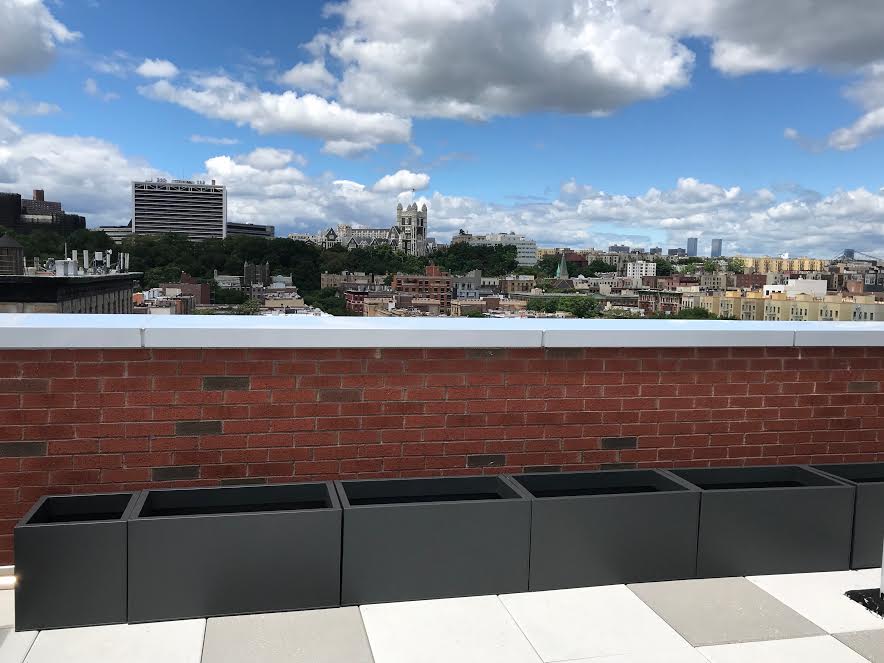 H A R L E M + B E S P O K E GREEN HARLEM GREEN ROOF AT THE RENNIE