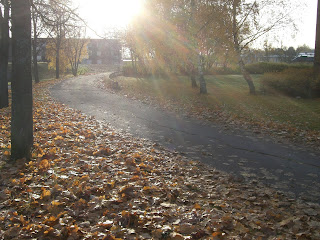 Lugn%2Bpromenad%2Bh%25C3%25B6st%2B%25283%2529 - Lugn promenad