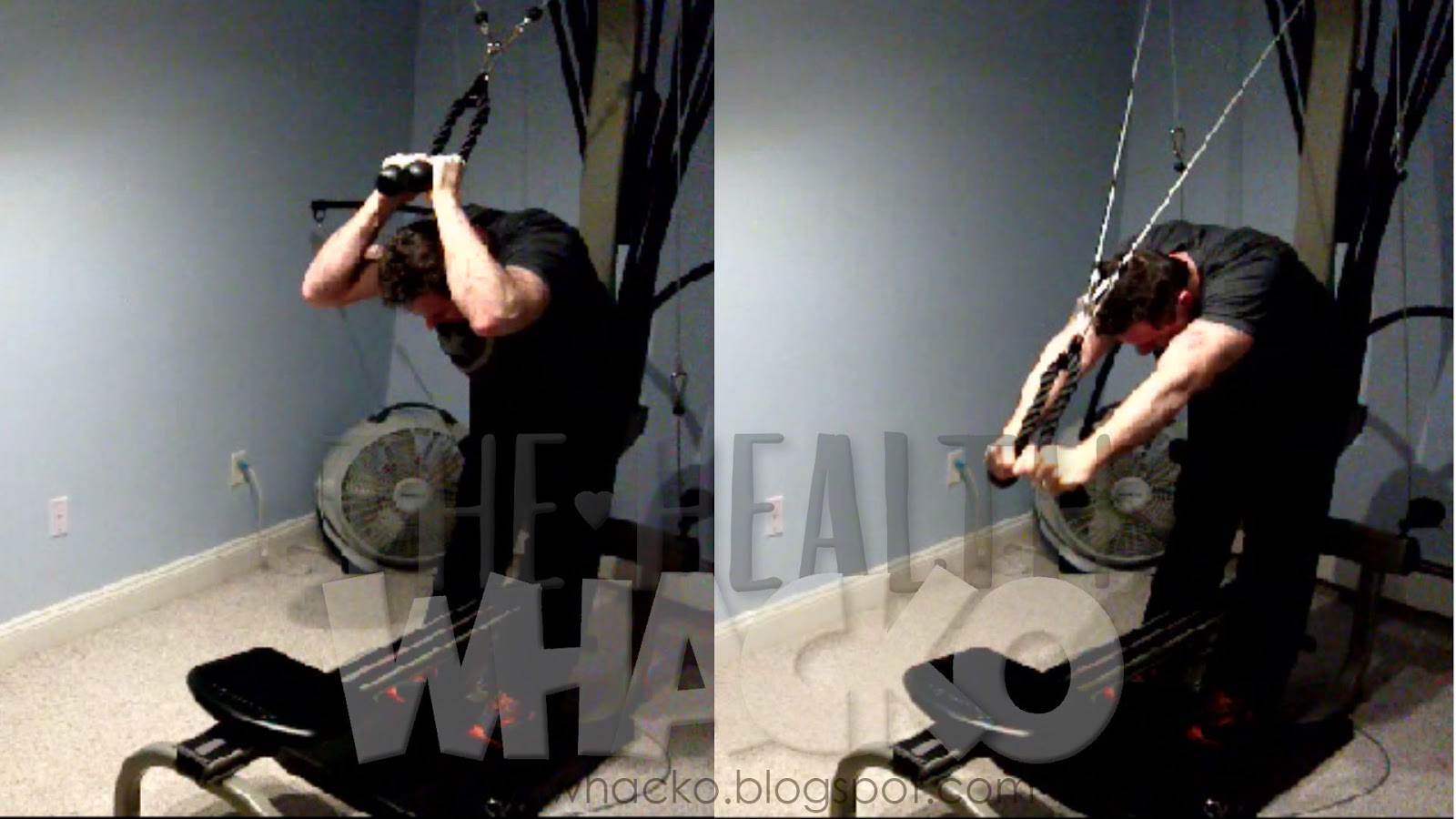 The Video Whacko Triceps Pushdown (BowFlex 45 Degree Rope)