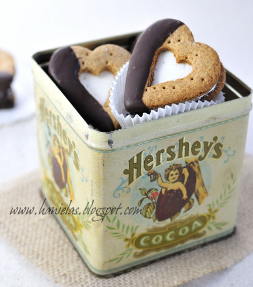 Heart Shaped Valentine's Day S'mores Recipe - via BirdsParty.com