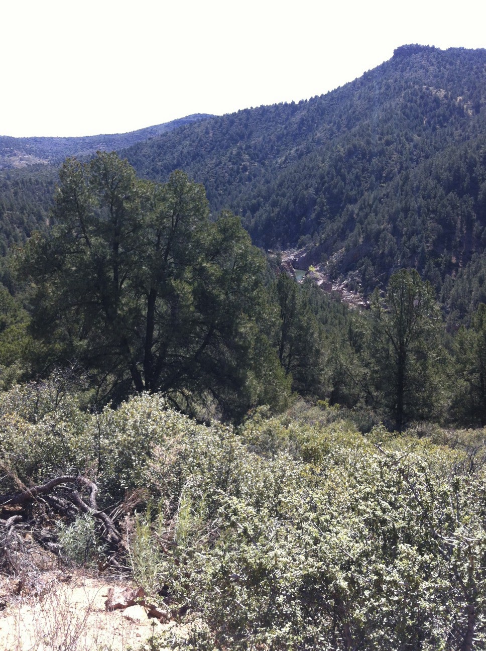 Payson Ponderings Cracker Jack Mine Jeep Tour