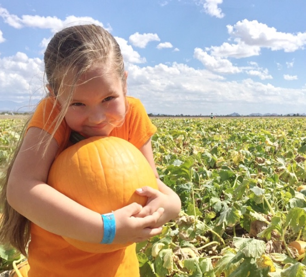 Arizona Families Marana Pumpkin Patch Flash Giveaway {20 Passes to Give!}