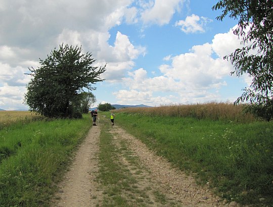 Pola ponad wsią Gierałcice.