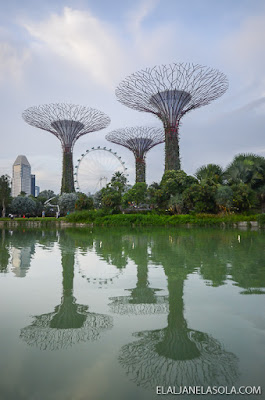 Singapore | Gardens by the Bay