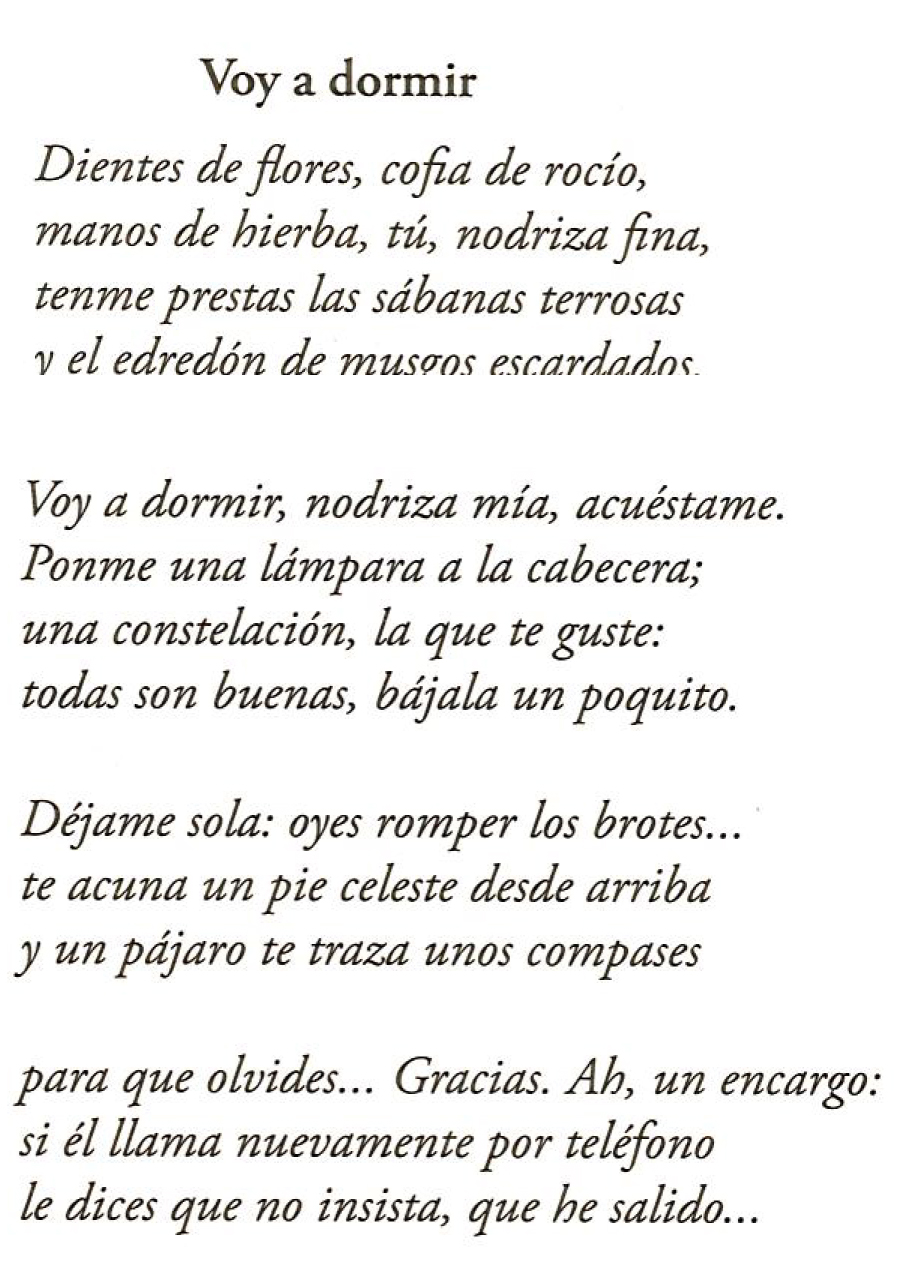 Alfonsina Storni La Poeta Alfonsina Y El Mar La Cancion Que Habla De Ella