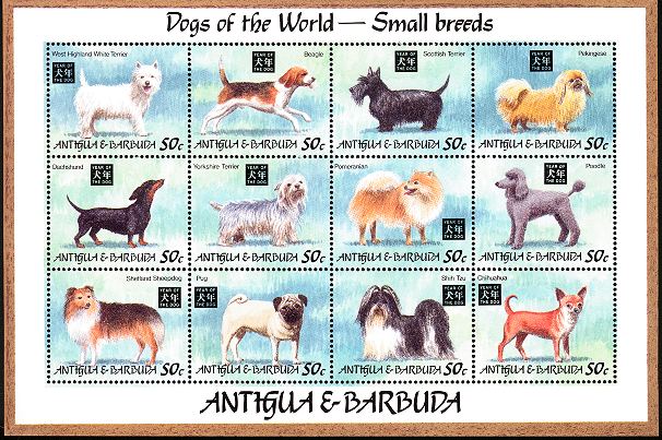1995年アンティグア・バーブーダ ウエスト・ハイランド・ホワイト・テリア ビーグル スコティッシュ・テリア ペキニーズ ダックスフンド ヨークシャー・テリア ポメラニアン プードル シェットランド・シープドッグ パグ シー・ズー チワワの小型犬12種の切手シート