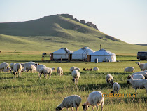 Ger Homestead on the Mongolian Steppes outside Ulaanbaatar, Mongolia