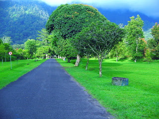 Garden and Road of Bali Handara, Bedugul