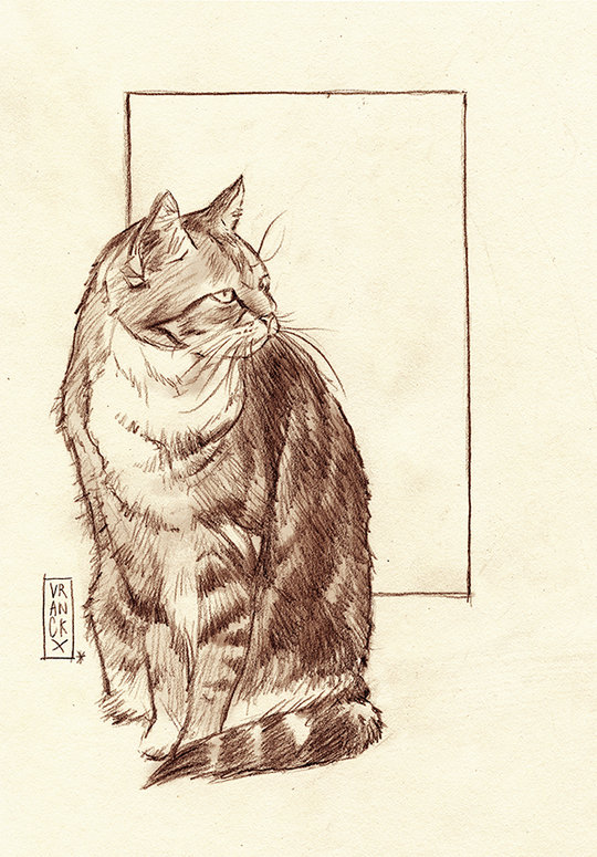 tabby cat illustration