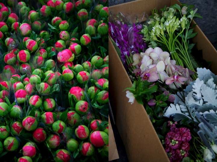 blooming lovely the sydney flower market