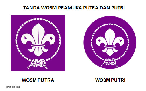 49+ Gambar Logo Tunas Kelapa Putra Dan Putri Background