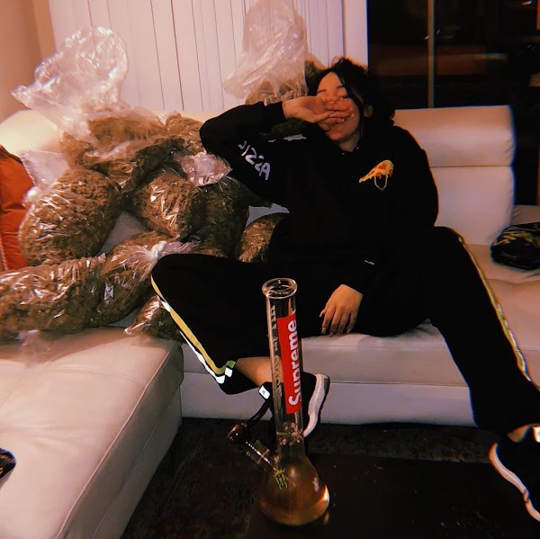 La polémica foto de Noah Cyrus rodeada de marihuana