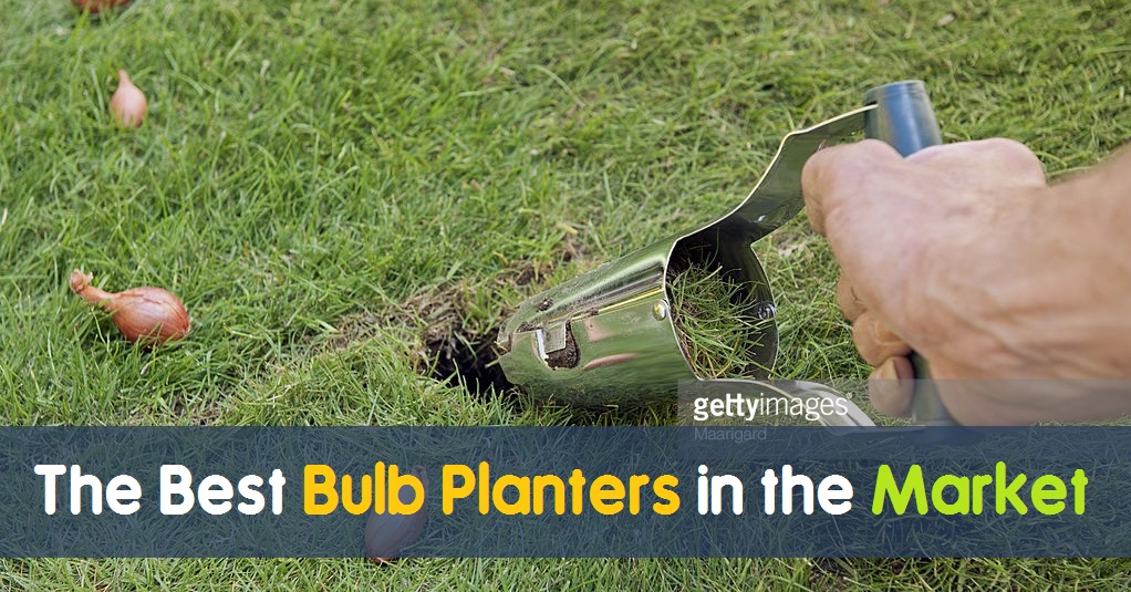 The Best Bulb Planters in the Market THE CULTIVATION