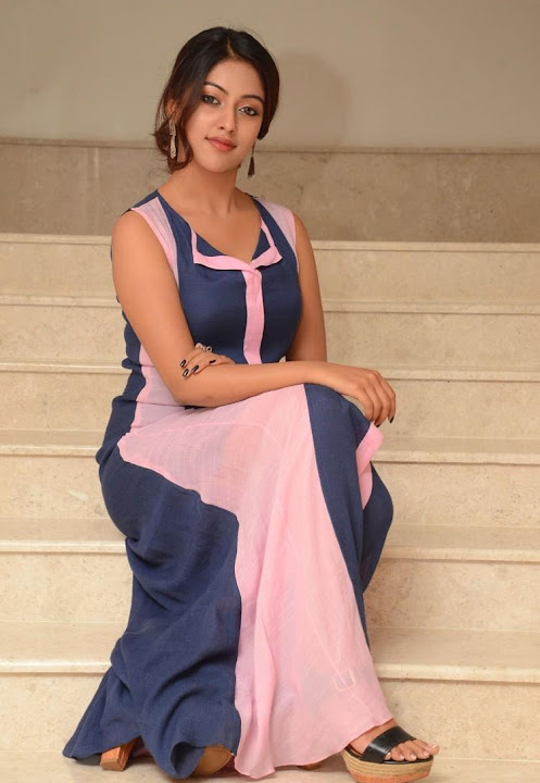 Anu Emmanuel At Majunu Movie Audio Success Meet