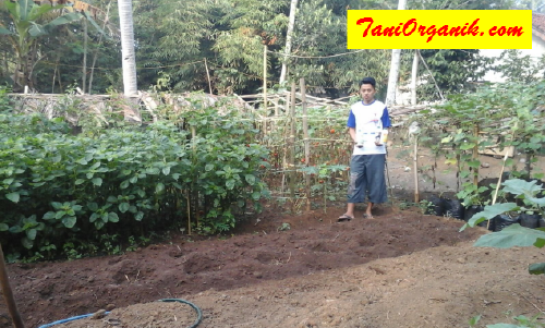 Dicari, Generasi Muda Yang Mau Terjun Ke Pertanian Organik! (Kang Arif, Purworejo, 2015)