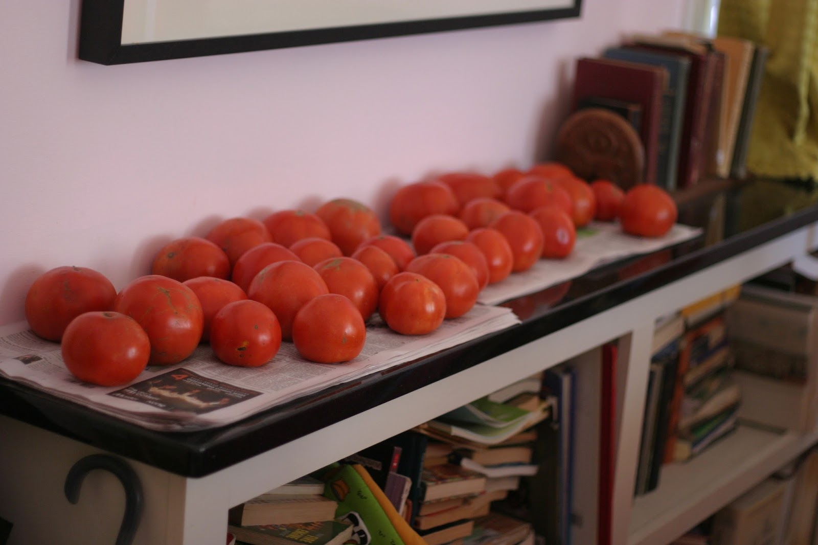 Thrift at Home A Bushel and a Half of Tomatoes