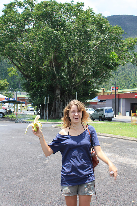 das doppelte Lottchen: Dezember 2011