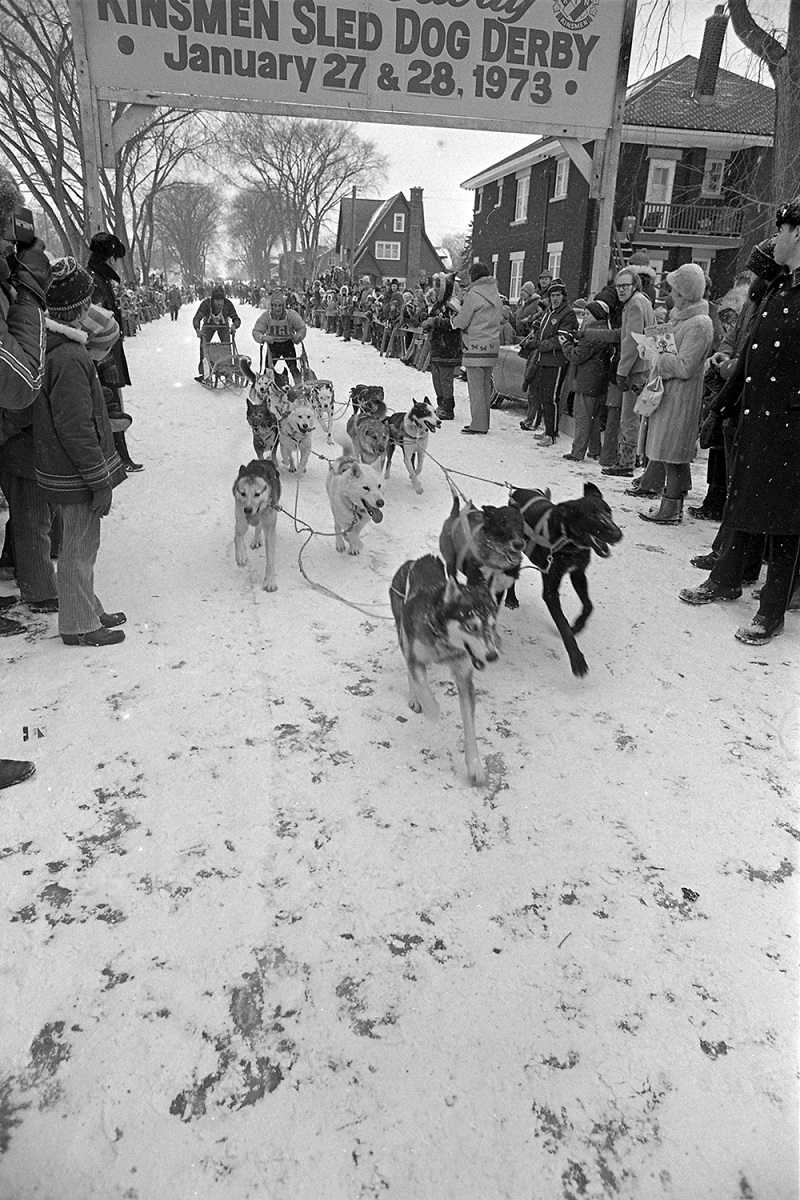 The Kitchissippi Museum The Classic Byron Avenue Dog Sled Races
