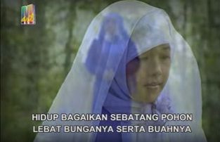 Download Lagu Wafiq Azizah Sepohon Kayu