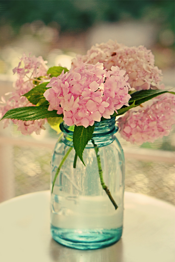 Snippets from Springdale Ball Jar Love