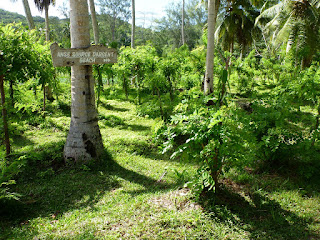 Union Estate - La Digue - Seychelles