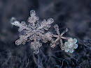 Snowflake by Alexey Kljatov