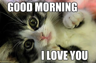 good morning good morning