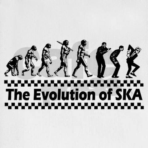EVOLUCION DEL SKA