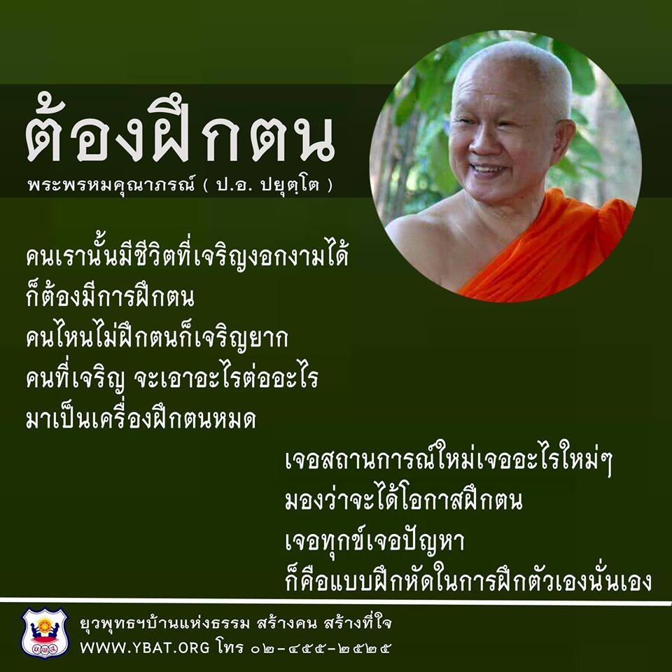 My Image 4
