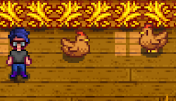stardew valley chickens coops walkthrough guide coop rabbits ducks