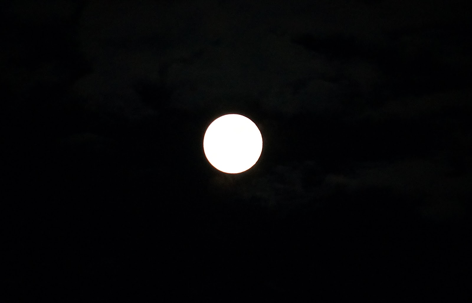Слушать песню луна светила. Луна светит так ярко. Moon Creative logo.