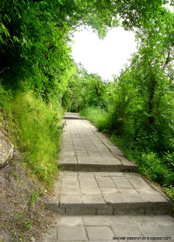 Natural heart by beyond  my  dreams on DeviantArt